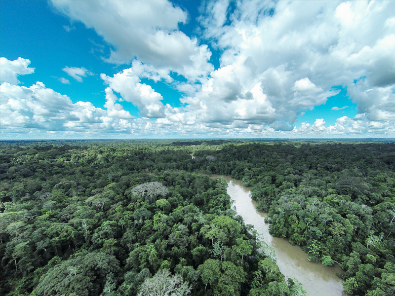 Huaorani territory, Ecuadorian Amazon